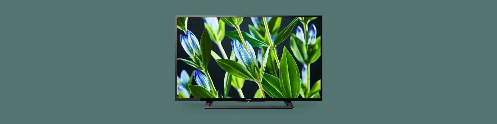 Sony TV Service Center in Hyderabad